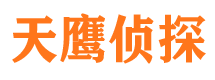 双桥市私家侦探